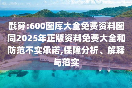 戳穿:600圖庫大全免費資料圖同2025年正版資料免費大全和防范不實承諾,保障分析、解釋與落實
